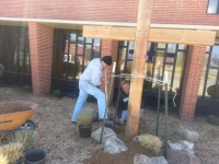 me landscaping at the cross