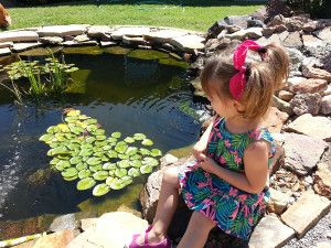 Aquascapes by Gordons Landscapes with Kio Pond and a young child image.