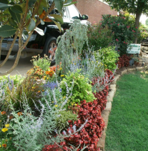 Beautiful Landscaping