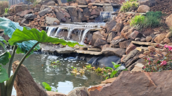 Aquascapes By Gordon’s Landscapes Aquascapes By Gordon's Landscapes