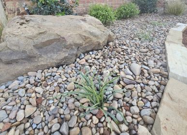 Gordon's Landscapes Project 29