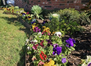 Gordon's Landscapes Project 31